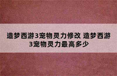 造梦西游3宠物灵力修改 造梦西游3宠物灵力最高多少